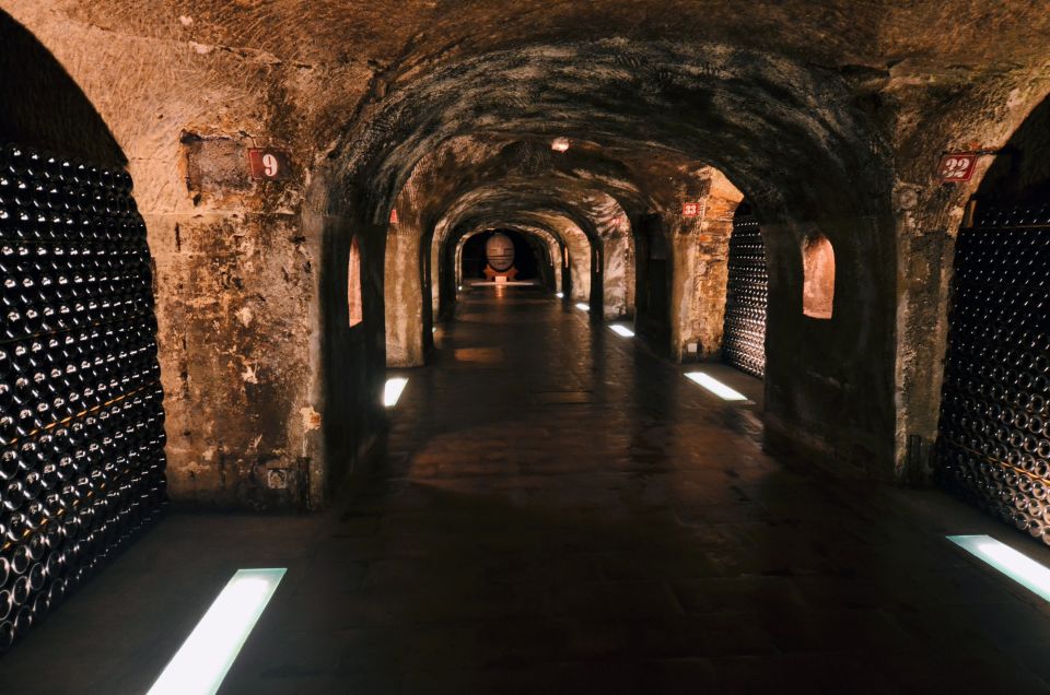 Paris: Private Day Trip to Champagne with 8 Tastings & Lunch - Côte des Blancs and Vallée de la Marne: UNESCO Vineyards and Scenic Stops