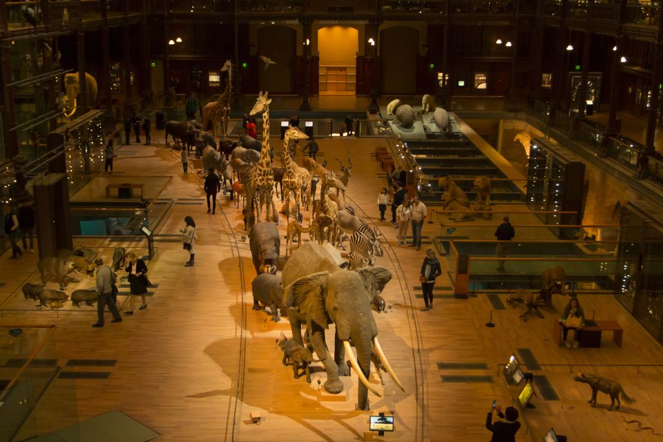 Paris: Private Family Tour, Highlights and Museum Visit - Should you book this family Paris highlight tour?