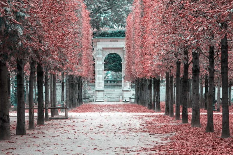 Paris: Private Full Day Tour-Louvre Sainte Chapelle Tickets - Rue du Chat-qui-Pêche to Notre-Dame Exterior: The City’s Little Side Streets Win