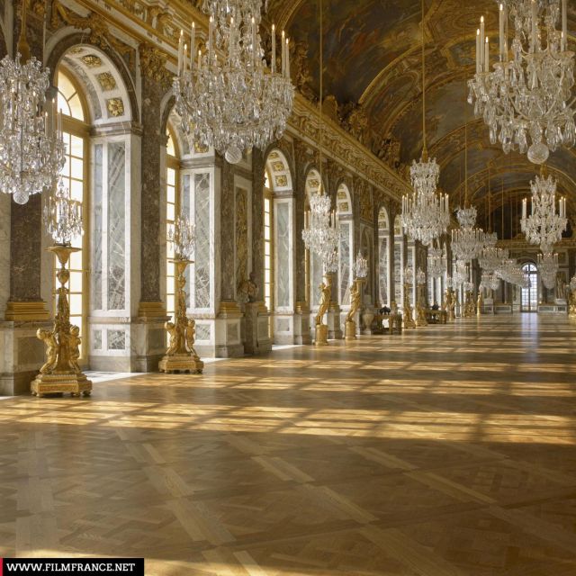 PARIS: Private transfer Château Versailles van 7 people 4H - A big caution: reliability and communication