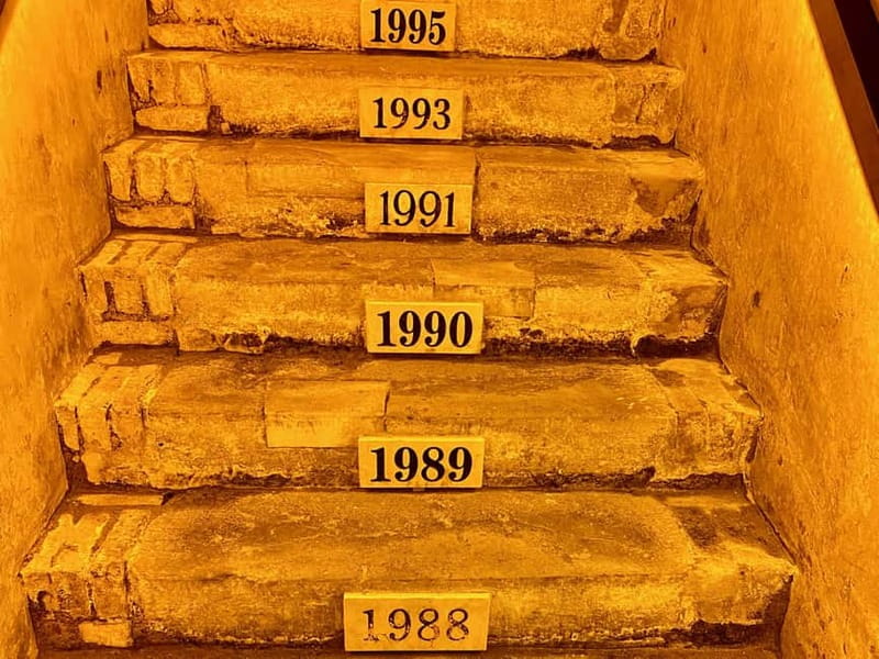Paris: Ruinart and Veuve Clicquot Champagne Tour by Mercedes - Ruinart in Reims: UNESCO cellars and two glasses