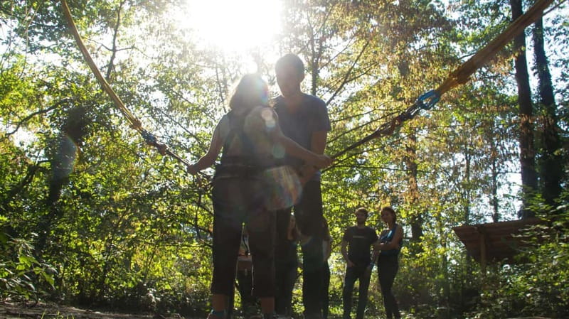 Paris : Sherwood Parc - Biggest Adventure Park Entry Ticket - Price and Value: Is $34 Worth It?