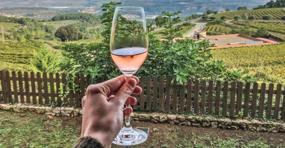 Paris: Two Reims Champagne Vineyards with Tastings and Lunch - Key takeaways before you go