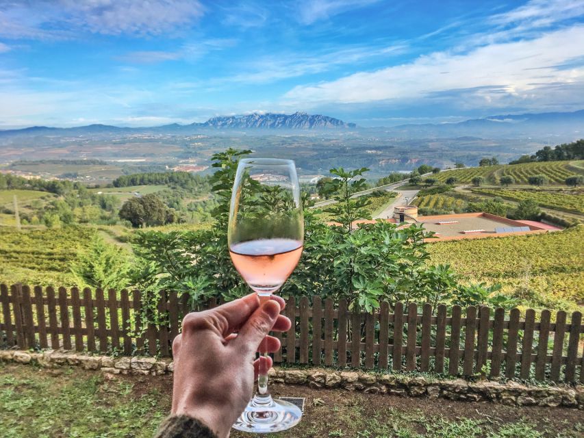 Paris: Two Reims Champagne Vineyards with Tastings and Lunch - Lunch in Lude: family-run French cooking to balance all that champagne