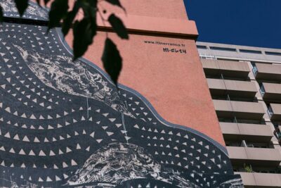 Paris: Urban Art Murals Walking Tour with an Expert - Meeting at Nationale metro: start on time, look up early