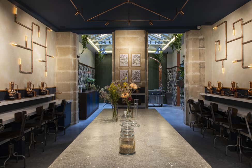 Paris Visit and gin tasting in English - Key Points Before You Go