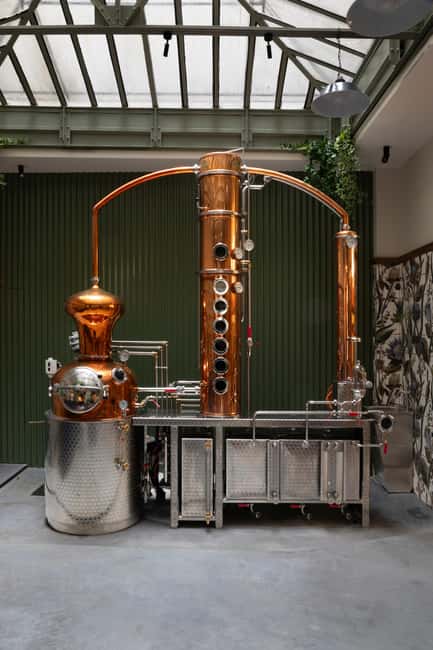 Paris Visit and gin tasting in English - Small Group, English Guide, and the Benefit of Asking Questions
