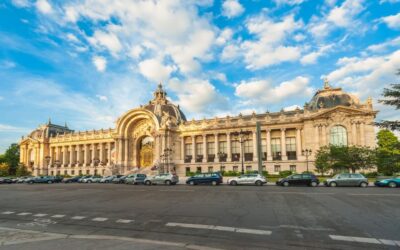 Petit Palais Paris Museum of Fine Arts Tour with Tickets - The private guide is the real upgrade