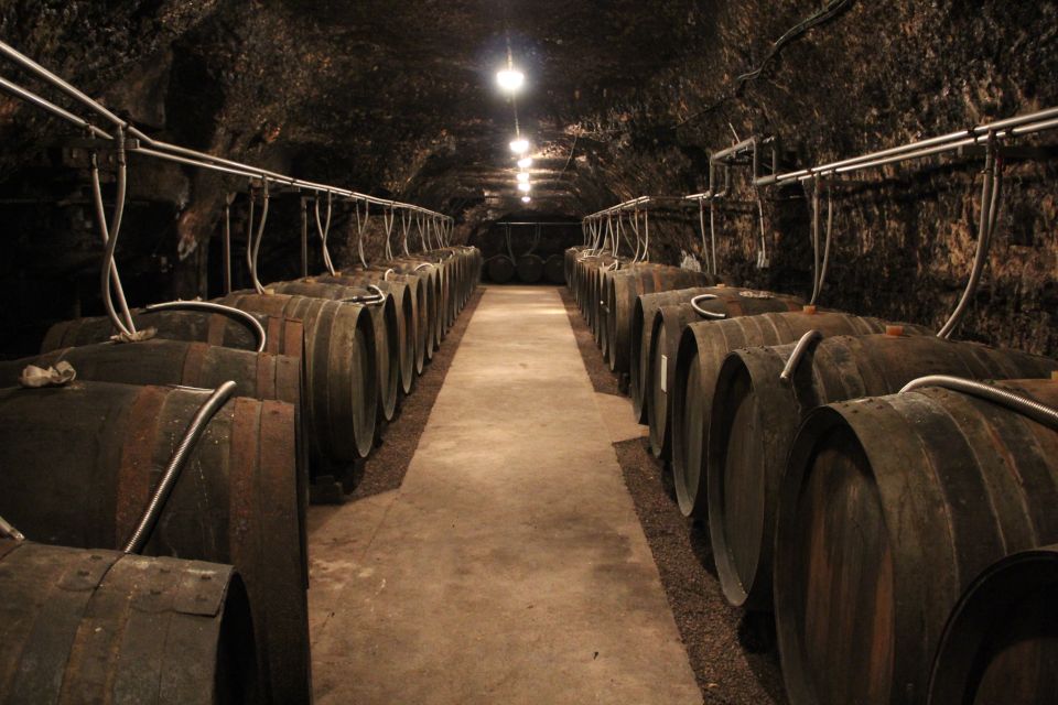 Private Day Tour to Loire Valley Castles & Wines from Paris - Price and value: what you’re really paying for