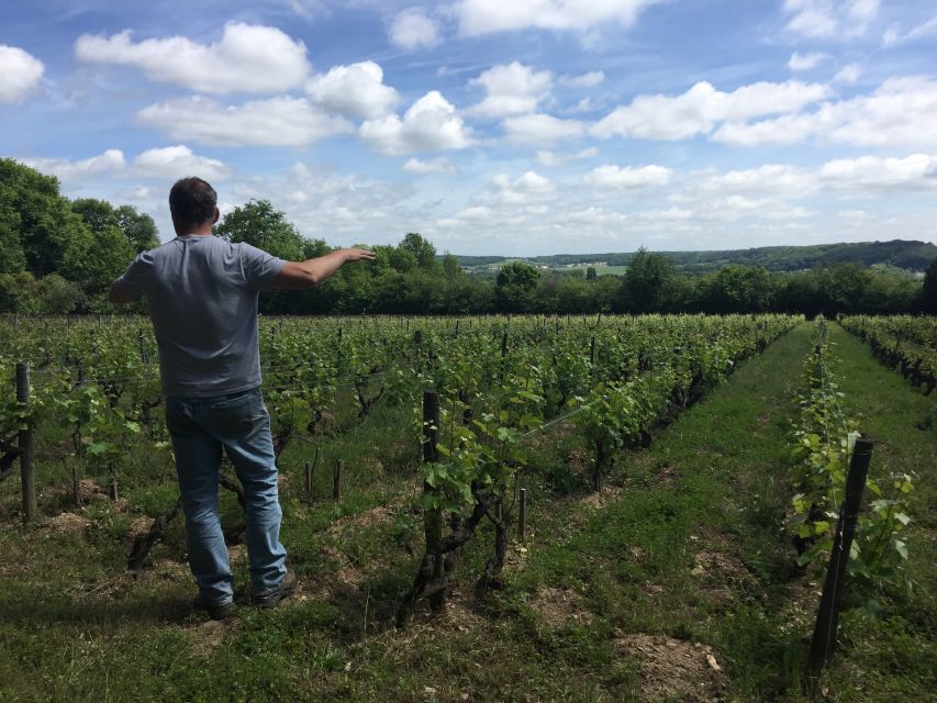 Private Day Tour to Loire Valley Castles & Wines from Paris - Tips that make the day feel easy