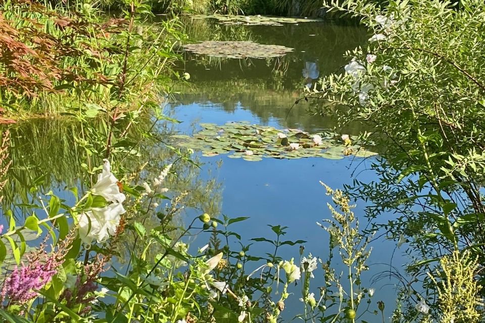 Private Trip Giverny Versailles Trianon from Paris - Versailles Gardens at golden-hour pace: your free time window