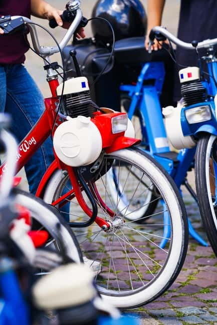 Solex Guided Tour of Intellectual Paris - Should you book this Solex Intellectual Paris tour?